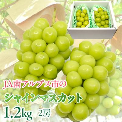 ふるさと納税 南アルプス市 ぶどう「シャインマスカット」2房入り 計約1.2Kg(2027年発送分)