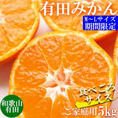 ふるさと納税 湯浅町 先行受付【ご家庭用】和歌山有田みかん約5kg(M、Lサイズいずれか)【湯浅町】