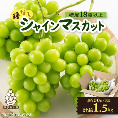 ふるさと納税 山梨市 【2026年発送】山梨市産「シャインマスカット(種なし)」 約1.5kg (約500g×3房)
