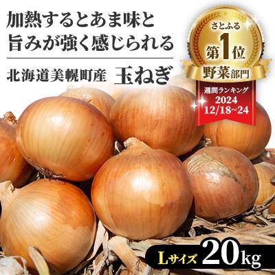 ふるさと納税 美幌町 【先行受付】玉ねぎLサイズ・20kg
