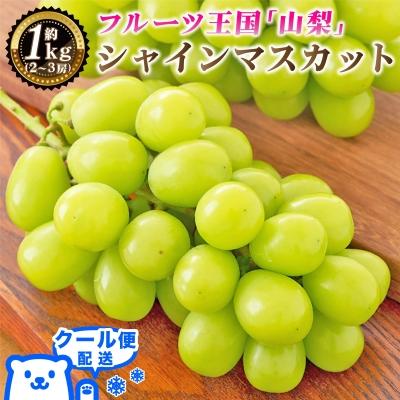ふるさと納税 山梨市 2026年発送 山梨県産 シャインマスカット 約1kg(2〜3房) 山梨が誇る人気果物 熟練農家厳選