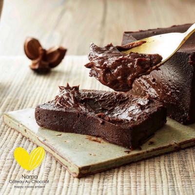 ふるさと納税 小田原市 幸せの生ガトーショコラ　ギフト/シングルサイズ