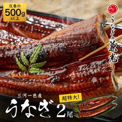 ふるさと納税 西尾市 愛知県三河一色産うなぎ蒲焼き　超特大サイズ2尾(合計500g以上)・U039-16