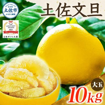 ふるさと納税 土佐市 【先行受付:2026年1月下旬〜発送予定】【日本ギフト大賞2024受賞】園主こだわり土佐文旦10kg