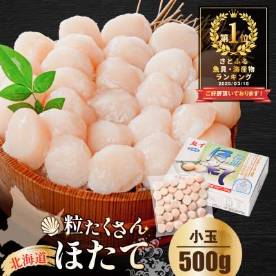 ふるさと納税 別海町 訳あり ほたて貝柱 500g 北海道産 刺身用 粒沢山 小玉 不揃い ほたて刺身用 冷凍帆立貝柱
