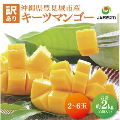 ふるさと納税 豊見城市 【2026年8月より順次発送】【訳あり】菜々色畑のキーツマンゴー約2kg