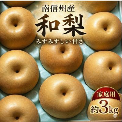 ふるさと納税 飯田市 訳あり　長野県産　梨(幸水、豊水、南水、あきづき)　約3キロ　農家直送　
