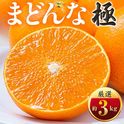 ふるさと納税 八幡浜市 【今年も売れてます】ぷるぷる食感【まどんな】3kg　※紅まどんな と同品種　【E49-22】