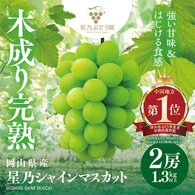 ふるさと納税 津山市 星乃 シャインマスカット 1.3kg以上 2房 数量限定 岡山県産 ぶどう フルーツ 人気ぶどう