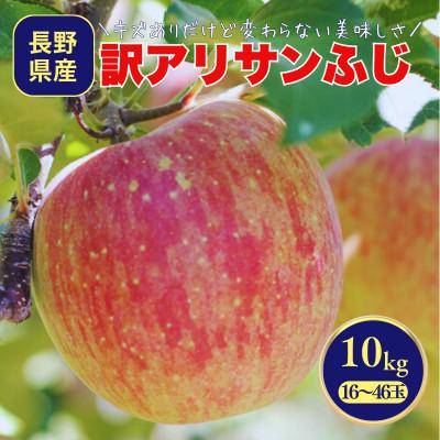ふるさと納税 松川町 りんご サンふじ(長野県産訳あり品) 10kg【2027年1月上旬〜2月上旬頃発送予定】