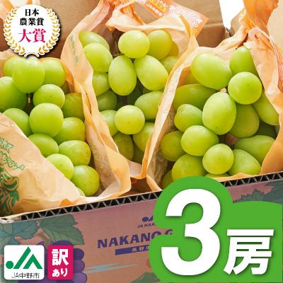 ふるさと納税 中野市 【2026年発送】訳ありシャインマスカット3房1.3kg以上　ご自分へのご褒美　JA中野市から産直