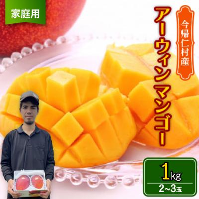 ふるさと納税 今帰仁村 【2026年6月から順次発送・家庭用】仲本マンゴー園のアーウィンマンゴー1kg(2〜3玉)