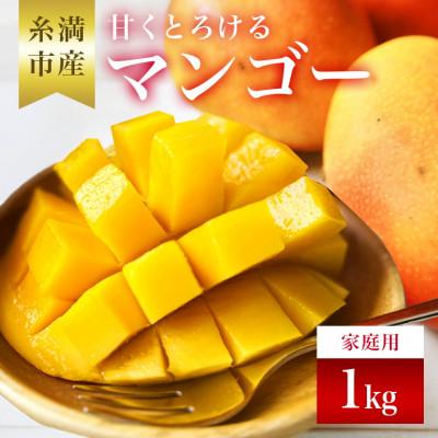 ふるさと納税 糸満市 【2027年発送】かねよしマンゴーの甘くとろけるマンゴー1kg(家庭用)