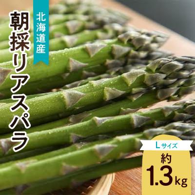 ふるさと納税 旭川市 【2026年発送】朝採りアスパラ　Lサイズ　約1.3kg_01706