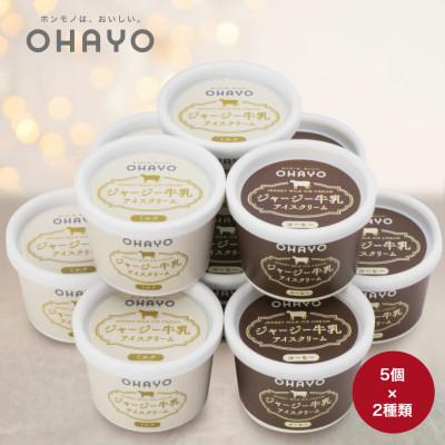 ふるさと納税 岡山市 オハヨー乳業 ジャージー牛乳アイスクリームギフト120ml×10個 ミルクアイス