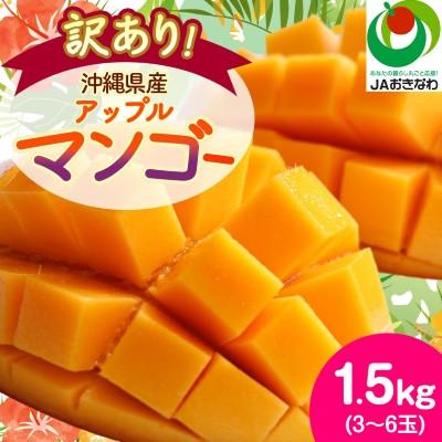 ふるさと納税 西原町 【2027年6月から順次発送・訳あり】アップルマンゴー1.5kg(3〜6玉)