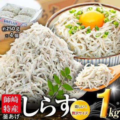 ふるさと納税 南知多町 釜揚げしらす 1kg(箱入り) 冷凍 無添加・無着色・減塩