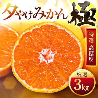 ふるさと納税 八幡浜市 【迷ったらこれ!】甘みが濃縮　夕やけみかん【極】3kg　愛媛県産【C49-25】