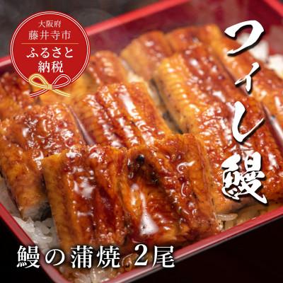 ふるさと納税 藤井寺市 【鰻セレブ】鰻の蒲焼　2尾