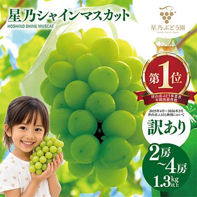 ふるさと納税 津山市 先行受付【訳あり】星乃シャインマスカット 1.3kg 2房〜4房