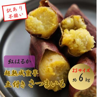 ふるさと納税 西脇市 先行予約!訳あり超熟成蜜芋 土付き不揃いさつまいも「こいもあまいも」2Sサイズ 約6kg(紅はるか)