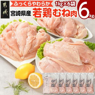 ふるさと納税 都城市 【期間限定】宮崎県産若鶏 むね肉(6kg)