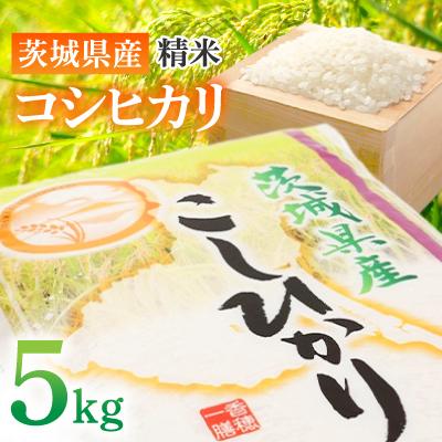 ふるさと納税 土浦市 【令和7年産 】 茨城県産 コシヒカリ 精米5kg　毎月上旬より順次発送予定