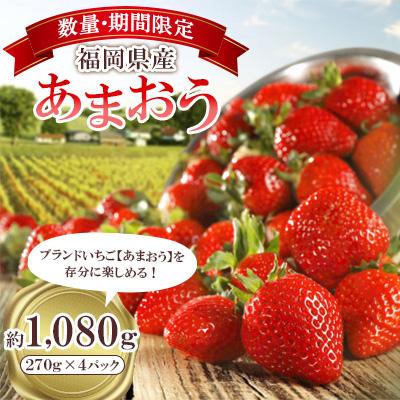 ふるさと納税 川崎町 【Yahoo!ふるさと納税限定】【26年4月5月発送】【数量限定】福岡県 あまおう 約270g×4P
