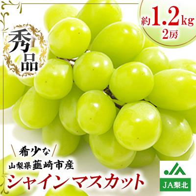 ふるさと納税 韮崎市 山梨 韮崎市穂坂町産 秀品 シャインマスカット 約1.2kg(2房) JA梨北【2026年9月発送】
