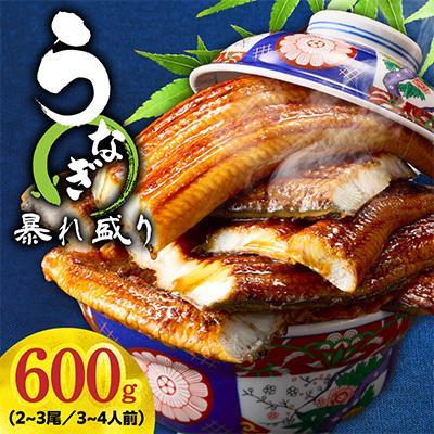 ふるさと納税 泉佐野市 【訳あり】うなぎ 蒲焼き 暴れ盛り 合計 600g 真空パック