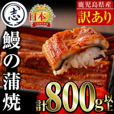 ふるさと納税 志布志市 【訳あり】復活!不揃いのうなぎ達(鹿児島県産 鰻の蒲焼き)《計800〜900g》b2-040