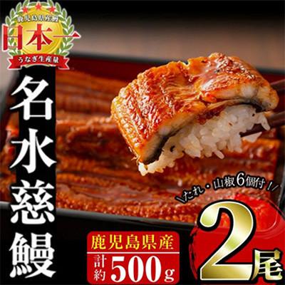 ふるさと納税 志布志市 鹿児島県産うなぎ蒲焼 名水慈鰻 2尾(1尾約236~270g)《計約500g》