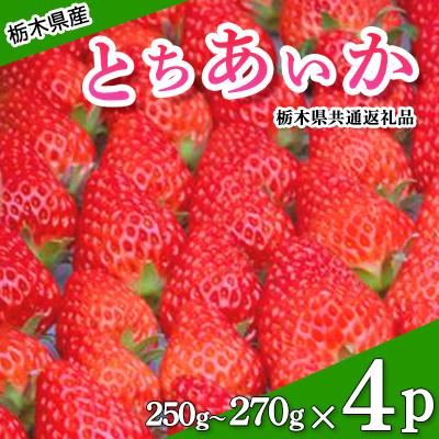 ふるさと納税 さくら市 栃木県産とちあいか250~270g×4パック【2027年1月下旬発送開始】栃木県共通返礼品・栃木県産