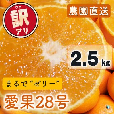 ふるさと納税 松山市 訳あり 愛果28号(紅まどんなと同品種)2.5kg(6個〜15個) 2026年11月下旬順次発送