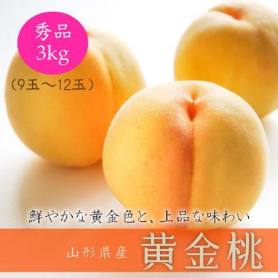 ふるさと納税 中山町 令和8年産先行受付　山形県中山町産黄金桃　3kg　※軟らかくなる桃　品種おまかせ
