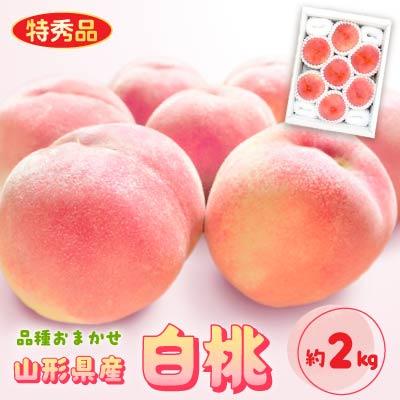 ふるさと納税 中山町 山形県産白桃 約2kg(品種おまかせ) 特秀品　柔らかくなる桃【令和8年産】