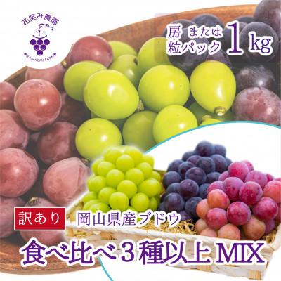 ふるさと納税 新庄村 岡山　花笑み農園のブドウ『訳あり3種以上MIX』1kg　W3M-1