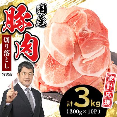 ふるさと納税 宮古市 家計応援!国産 豚肉 計3kg!(300g×10P) 豚 切り落とし 小分けで便利