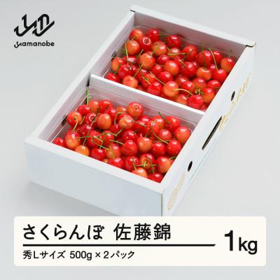 ふるさと納税 山辺町 《先行予約》さくらんぼ 佐藤錦 秀Lサイズ プレゼント ギフト バラ詰め 1kg(500g×2P)