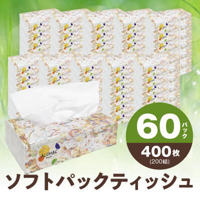 ふるさと納税 泉佐野市 【12/31迄 特別寄附金額】ソフトパックティッシュ 60パック×400枚 010B1754