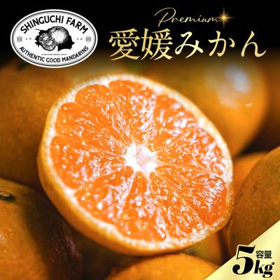 ふるさと納税 八幡浜市 【小玉サイズ限定】五代目が厳選した愛媛みかん 5kg【愛媛県川上産】【A70-92】