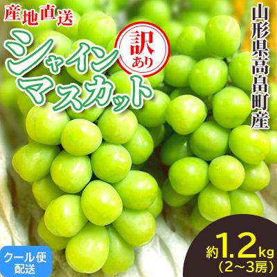ふるさと納税 高畠町 【2026年度先行予約】山形県高畠町産 訳あり シャインマスカット 約1.2kg(2〜3房)