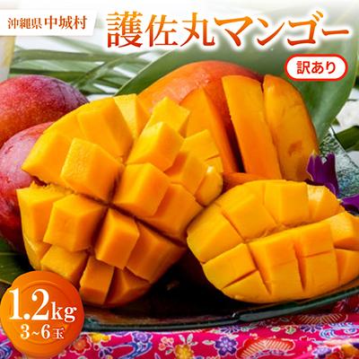 ふるさと納税 中城村 【2027年6月から順次発送・訳あり】護佐丸マンゴー1.2kg(3〜6玉)