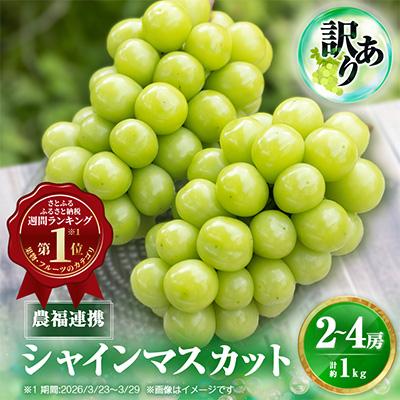 ふるさと納税 山梨市 2026年発送【見た目は訳あり?味は満足!】農福連携シャインマスカット計1kg【ご家庭用】