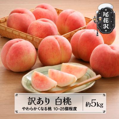 ふるさと納税 尾花沢市 訳あり 桃 白桃 約5kg (10〜25個程度) 無印品 2026年産 sb-mohtw5
