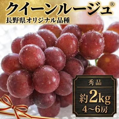 ふるさと納税 千曲市 【2026年先行予約】クイーンルージュ(R) 約2kg(4〜6房 ※最低1.8kg以上)