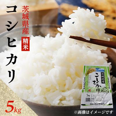 ふるさと納税 阿見町 【令和8年産】新米 先行受付 茨城県産 コシヒカリ 精米 5kg