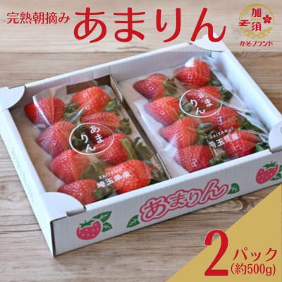 ふるさと納税 加須市 「埼玉農業大賞特別賞」を受賞! 完熟朝摘み苺 あまりん　250g×2パック