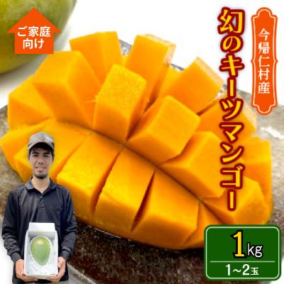 ふるさと納税 今帰仁村 【先行受付・2026年8月から順次発送・家庭用】仲本マンゴー園の幻のキーツマンゴー1kg(1〜2玉)