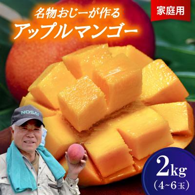 ふるさと納税 今帰仁村 【2026年7月から順次発送・家庭用】名物おじーが作るアップルマンゴー2kg(4〜6玉)